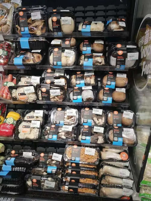 洞見市場趨勢，陳亮嘴深度調研奧吉特公司的戰略啟示